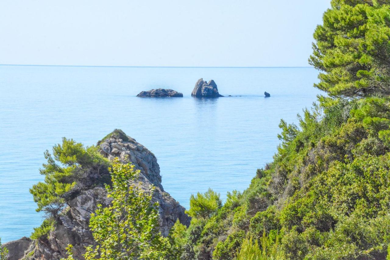 Corfu Resorts Apartments Πέλεκας Εξωτερικό φωτογραφία